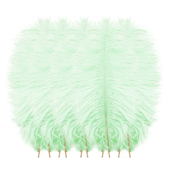 10 Pcs Multicolor Plumage for Wedding Party Centerpieces Flower Arrangement Home Decoration Plume Hair Craft Decoration Wedding Plumage