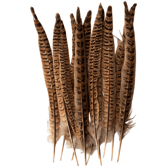 10 Pcs Natural Long Pheasant Tail Feathers, 7.9-9.8 in / 20-25 cm, Unique Textured Feathers for DIY Crafts, Feather Wedding Centerpieces, Decorative Vase, Cat Toys, Dance Props