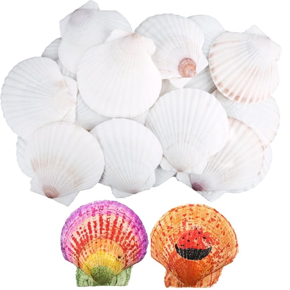 10 Pcs Natural Scallop Shells Tutuviw DIY Sea Shells White Oyster Shells Bulk for Decorating DIY Home Decor Beach Wedding Ocean Themed Party Jewelry Holder (3.9''-4.3'')