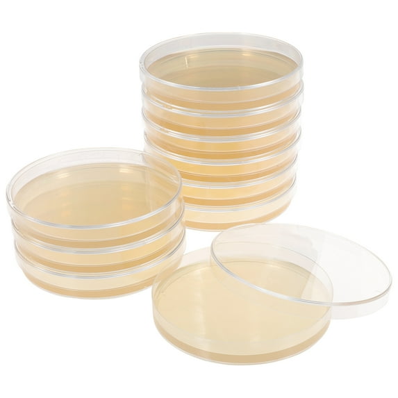 Nutrient Agar Plate Tissue Culture Petri Dishes with Lids Child 10 Pcs Portable Tool Sunflower Lecithin