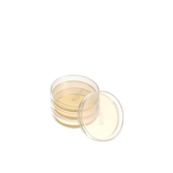 10 Pcs Nutrient Agar Plates, 7cm Pre Poured Petri Dishes Individual Pack STEM Experiment Agar Petri Dishes Tissue Culture Plate