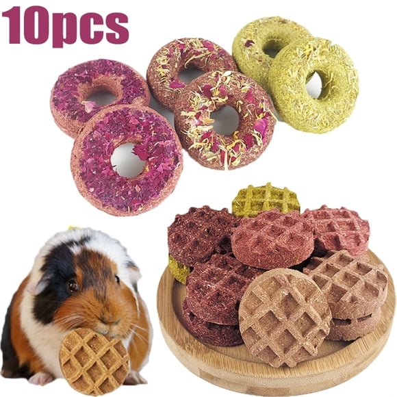 Photo inspiration: Gallery Detail: Guinea Pig Toys In Guinea Pigs