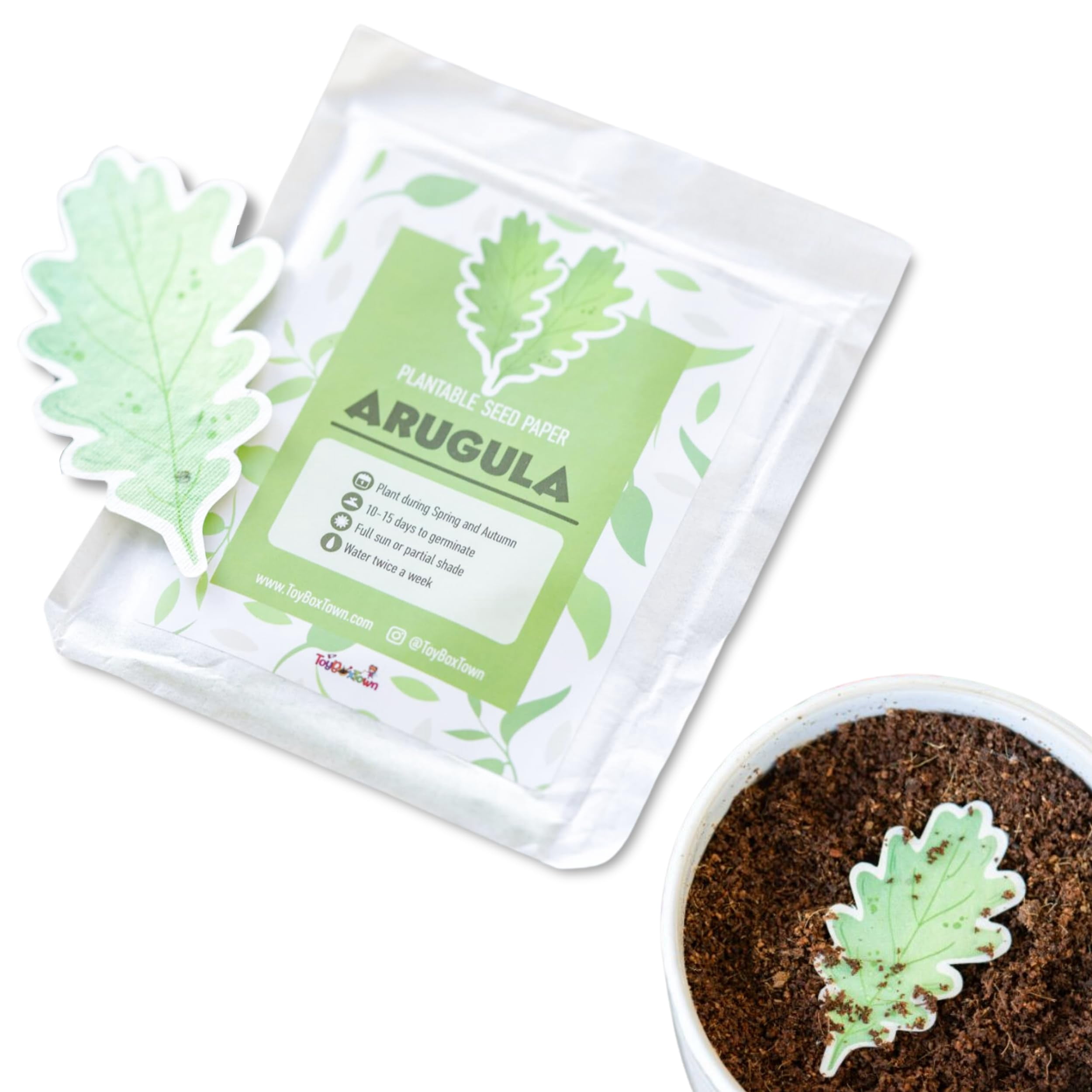 10 Pcs Plantable Seed Paper - ITL1 Seed Paper Favors | Seed Paper for ...