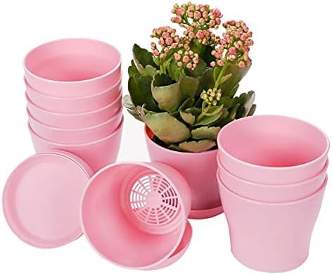 10 Pcs Plastic Planters Indoor Flower Plant Pots, Mini Flower Seedlings Nursery Pot/Planter/Flower Pot with Pallet, Modern Decorative Gardening Containers (Pink)