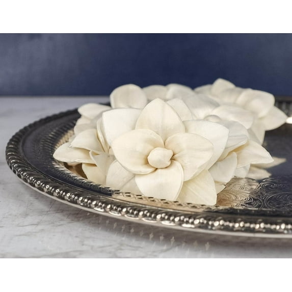 10 Pcs Soft & Pliable Raw Sola Wood Brittney Flowers for Easy Arranging in Bouquets, Crafting & Decoration -2"