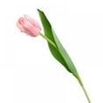 thumbnail image 1 of 10 Pcs Tulips Artificial Flowers Faux Tulip Stems for Mothers Day Easter Spring Wreath Wedding Bouquet Centerpiece Floral Arrangement Cemetery Party Wedding Table Decor 14Inch Tall, 1 of 5