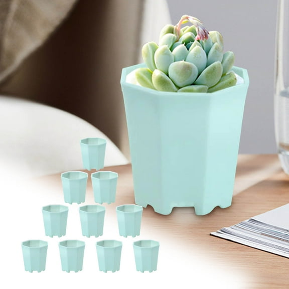 10 Pcs Verse Succulent Pots with Drainage 3 Inch Mini Plastic Flower Planter Pot Small Plant Pots for Friends and Family, Plants Not Included