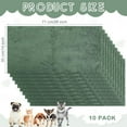 thumbnail image 1 of 10 Pcs Washable Pet Blanket for Guinea Pigs Rabbits Hamsters - Waterproof & Soft Bedding Mat, 1 of 6