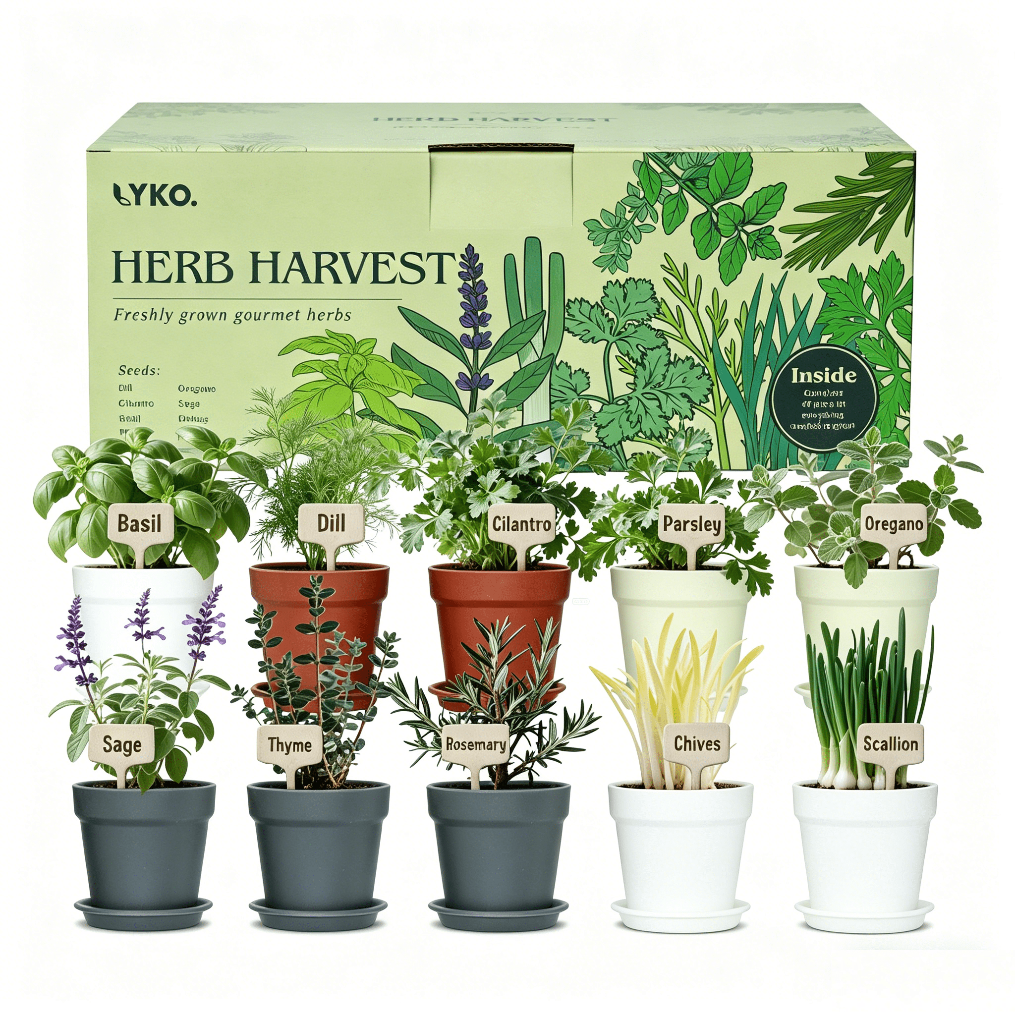 10-Piece Indoor Herb Garden Kit – 33-Piece Complete Starter Set for Kitchen Herbs, A Unique Gift Idea for Plant Lovers, Women, Men, Moms, Friends – Perfect for