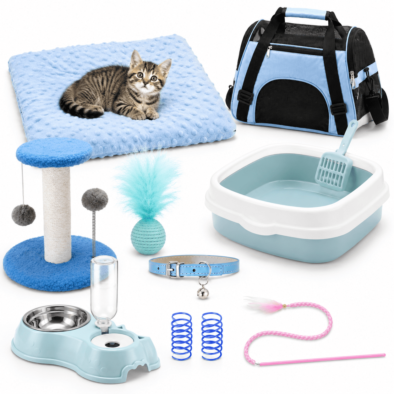10-Piece Kitten Starter Kit for Indoor Cats, Classic Blue, Medium ...