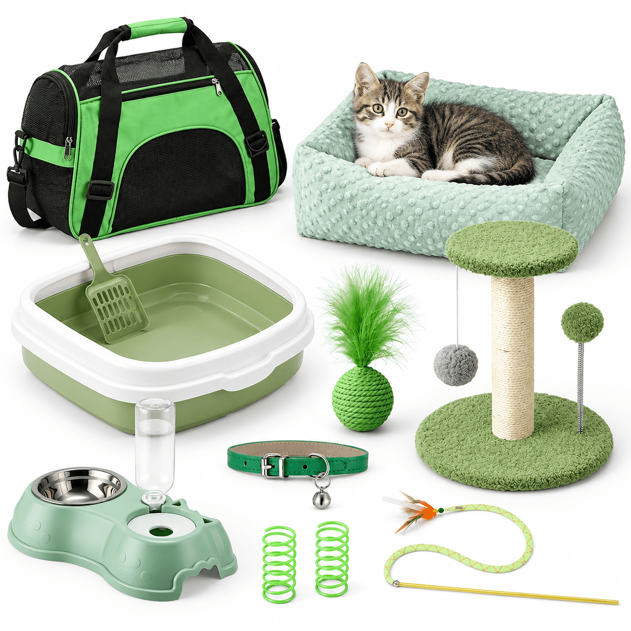 10 Piece Kitten Starter Kit for Indoor Cats, Classic Green, Medium ...