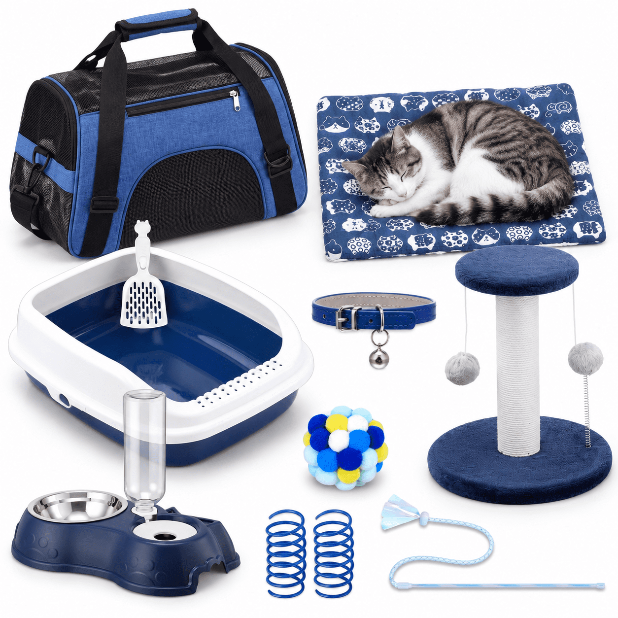 10-Piece Kitten Starter Kit for Indoor Cats, Classic Medium Dark Blue ...