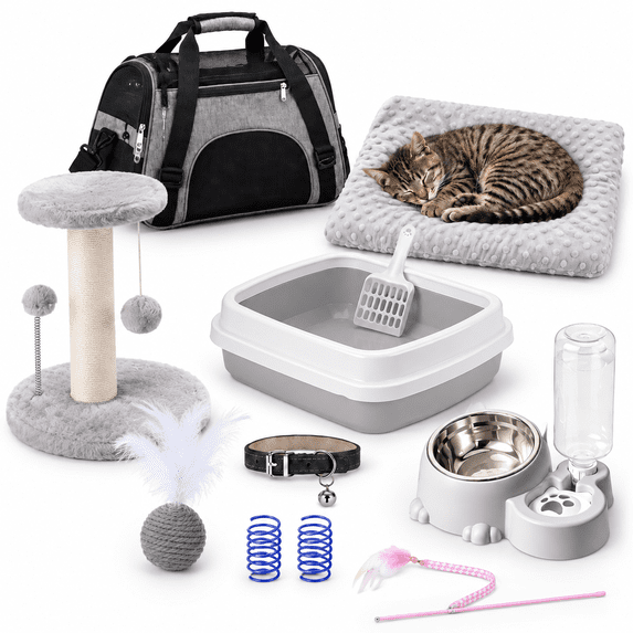 10-Piece Kitten Starter Kit for Indoor Cats, Cute Gray Medium, All-in ...