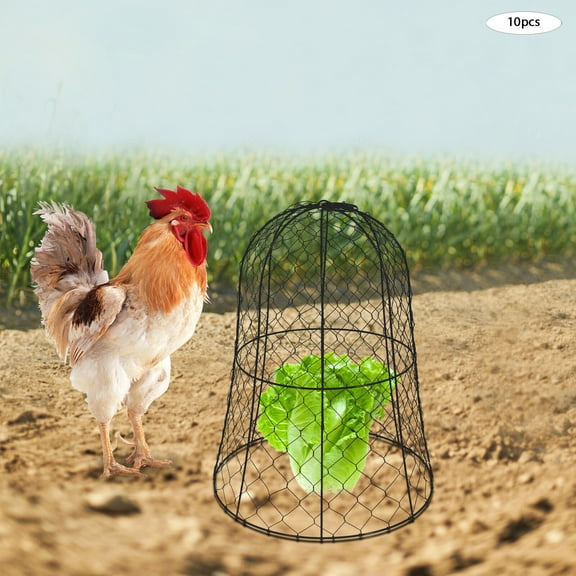10 Pieces Garden Chicken Wire Cloche, Plant Protector And Cover 12.99" *15.75"