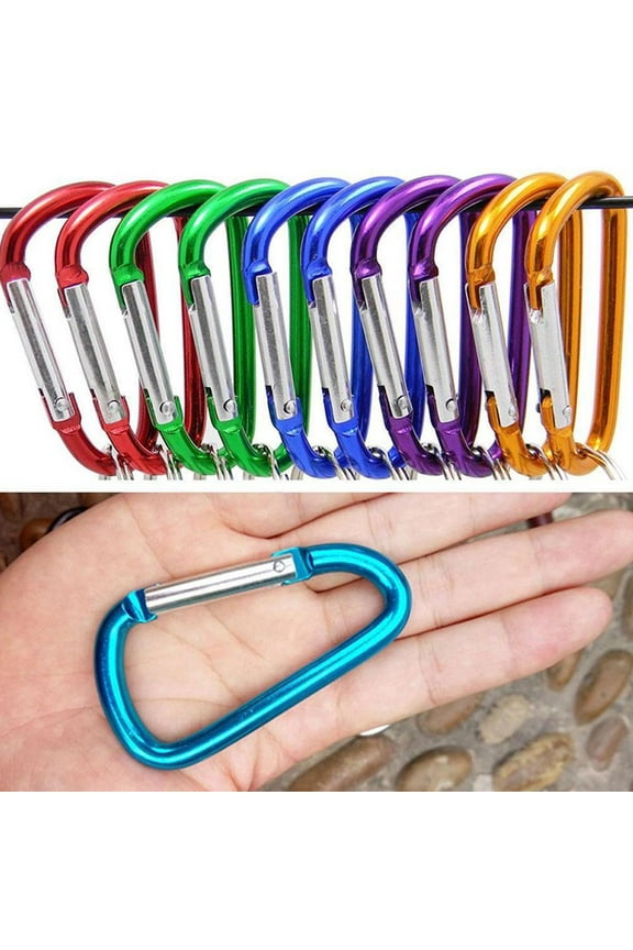 10 Pieces Mini Locking Carabiner, D Shaped Carabiner Aluminum Keychain Clip Hook for Camping Hiking