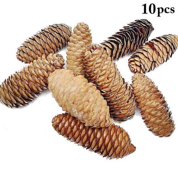 10 Pieces Pine Cone Ornament for Holiday Home Decoration, Craft Making and Seasonal Decor Arrangement 3Inch