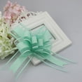 thumbnail image 1 of 10 Pieces Pull Bow Large Organza Gift Wrapping Pull Bows with Ribbon for Wedding Gift Baskets, Festive Party Supplies(6 Inches Diameter), 1 of 1