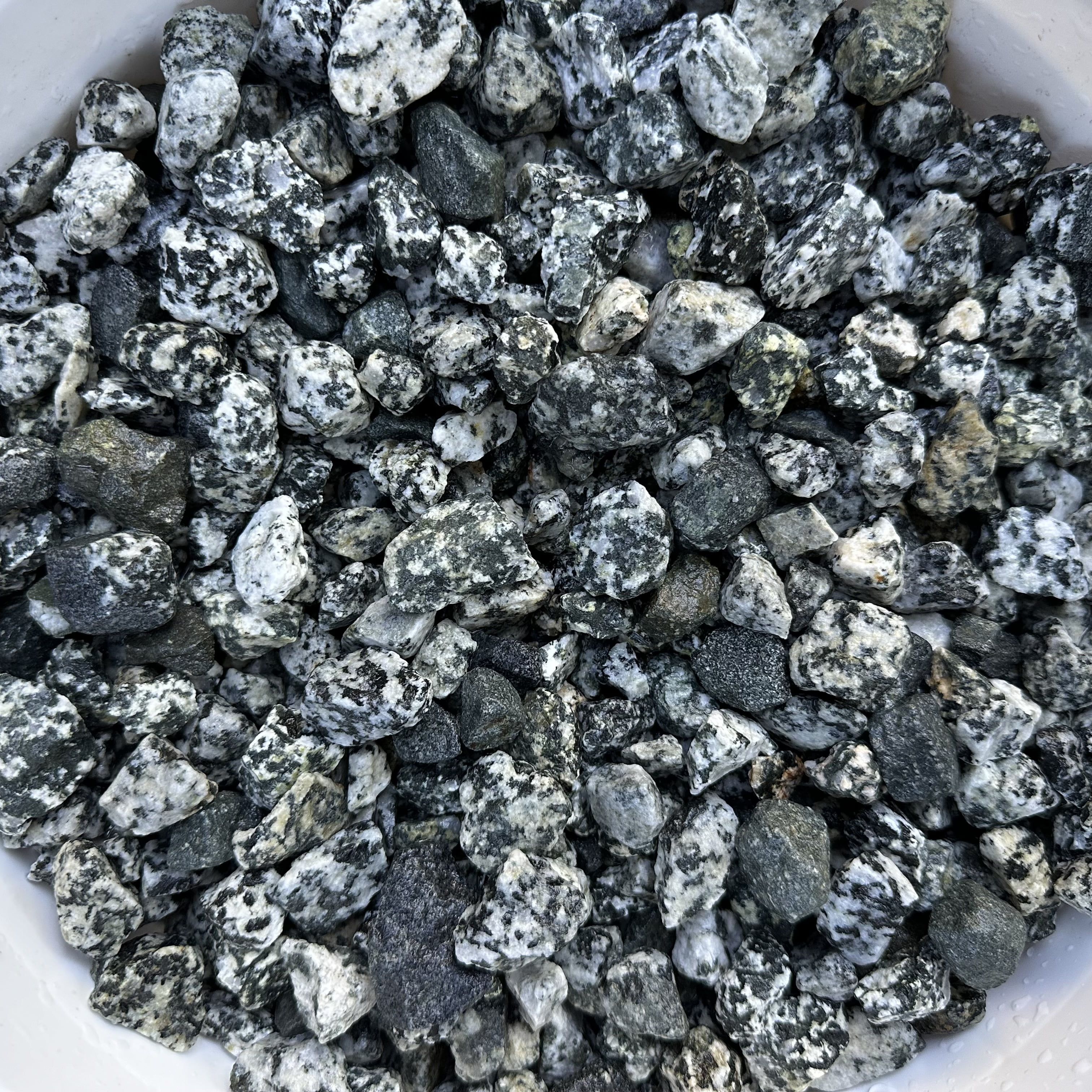 しらたま様kearny gravel-1 black stone×silver 10 Pounds of Dalmatian Stones 0.5