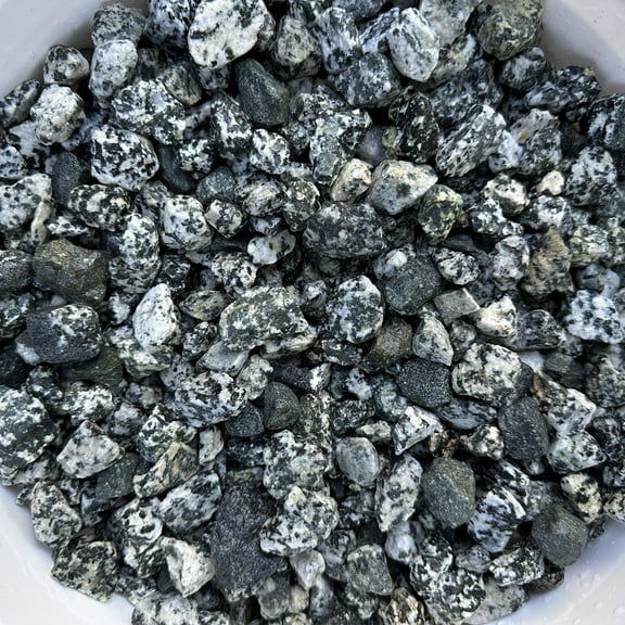 10 Pounds of Dalmatian Stones 0.5" to 1" Size, Rocks Gravel Pebbles for Landscaping, Terrariums, Aquariums, Gardens, Pond Water Features, Flower Beds, Pots, Decorative Walkways, Bonsai, Fairy, Crafts