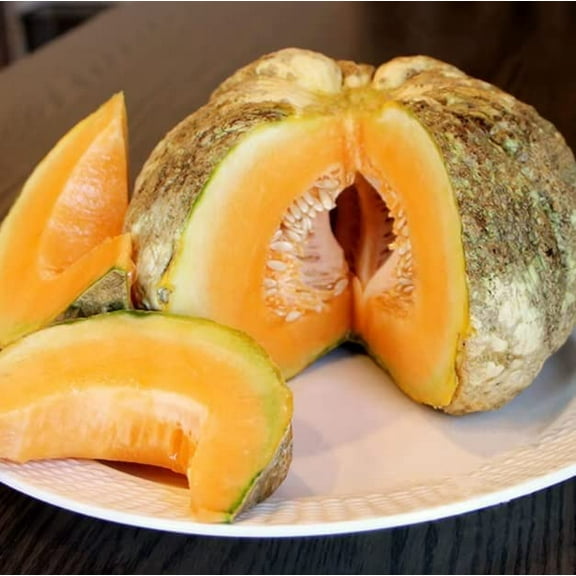 Melon Seeds for Planting (10 Seeds) - Grow Your Own Food (Fond Blanc)