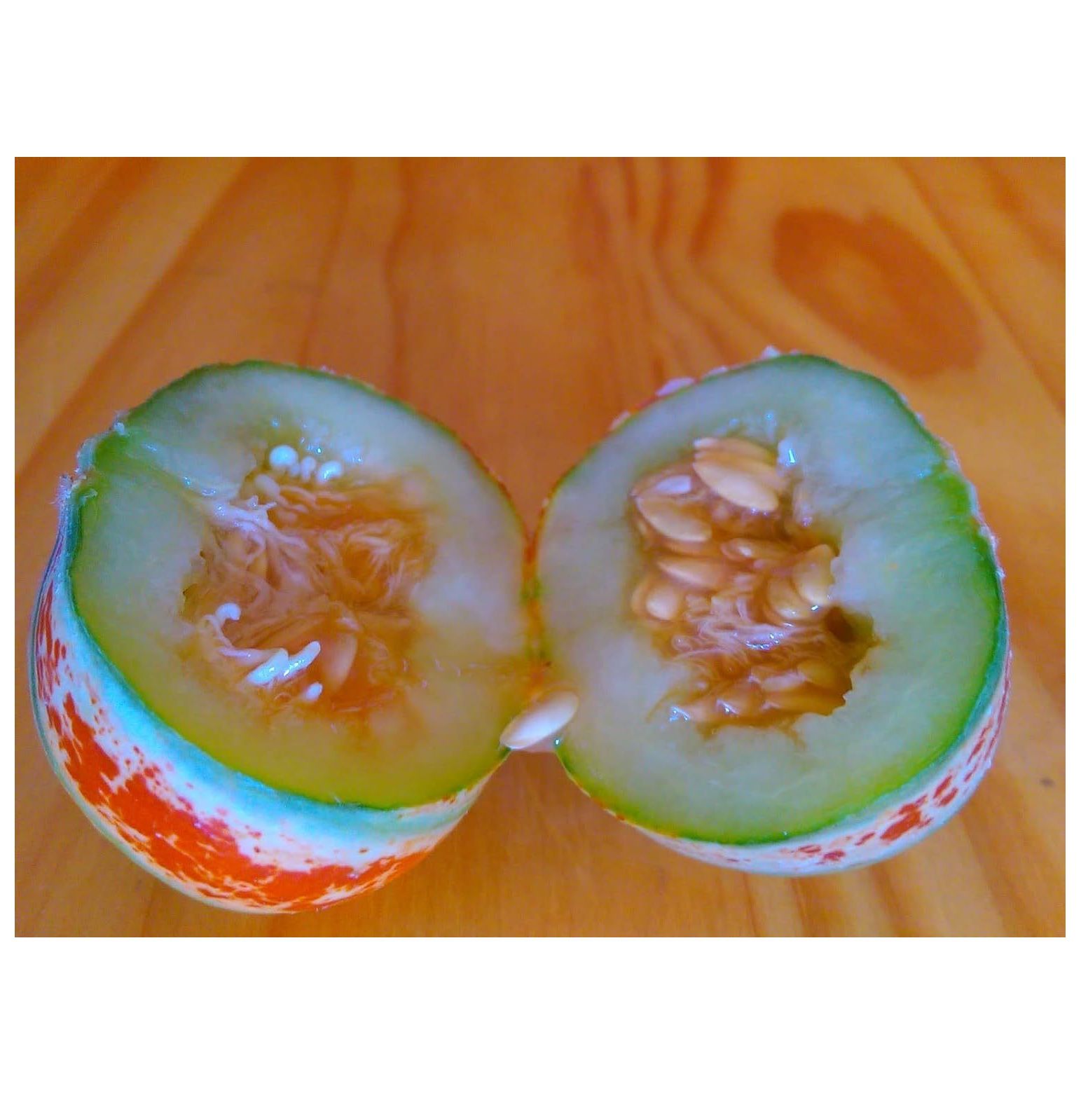 10 Rare Kajari Melon Seeds Bright Striped Melon, Compact Vines 6070 Days Till Ripe Grows