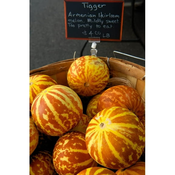 10 Rare Tiger Melon Seeds | Exotic Garden Fruit Seeds to Plant |