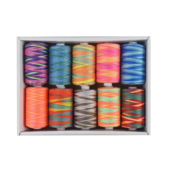 10 Roll Polyester Sewing Thread for Sewing Machine Hand Stitching Embroidery, Embroidery Thread