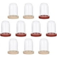 thumbnail image 1 of 10 Sets Mini Eternal Flower Glass Dome Cloche Clear Glass Display Case with 2 Colors Wooden Base Bell Jar Cloche for Centerpieces Plants Rocks Specimens Decorations Crafts 3.9x2.5 cm, 1 of 7