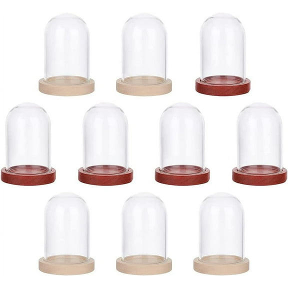 10 Sets Mini Eternal Flower Glass Dome Cloche Clear Glass Display Case with 2 Colors Wooden Base Bell Jar Cloche for Valentine's Day Mother's Day Flower Decorations Crafts 1.6x1 diy