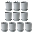 thumbnail image 1 of 10 Sets Plastic Flowerpots Small Rose Planter Succulent Plant Nursery Pots, 1 of 8