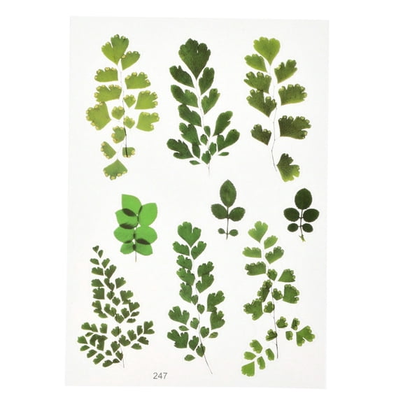 10 Sheet 15x10.5x0.01cm Green Maple Leaf Mini Plant Stickers for DIY