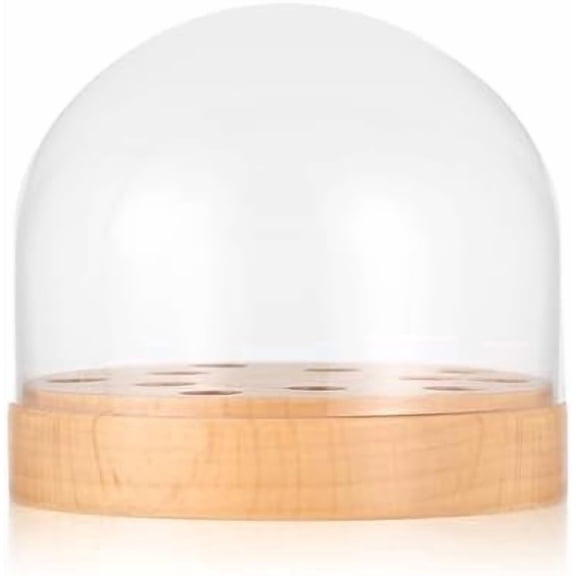 10-Slot Headshell Cartridge Holder: Turntable Stylus Phono Cartridge Display Box/Storage Case with Clear Lid & Beech Wood Base$$Music