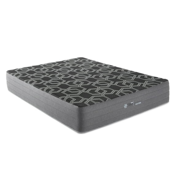 10-inch Smooth Top Foam Mattress - Lux Firm, Twin XL | Cooling, Pressure Relief | CertiPUR-US Certified | Ideal for Dorms, Guest Rooms