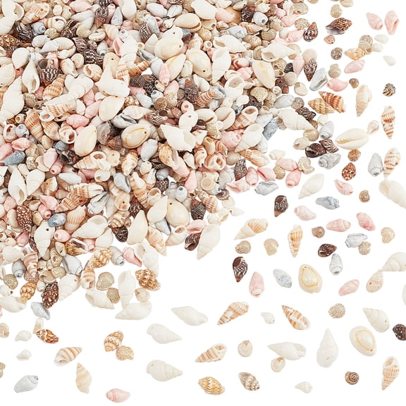 10 Strands 10 Styles Natural Shell Beads Strands Spiral Shell Sea Shell Conch Shell Mixed Color 4~22x5~17x5~12.5mm Hole: 0.9~4mm 1 strand/style