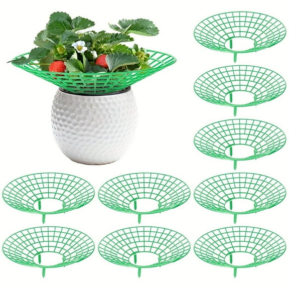 10 Strawberry Support Stand Strawberry Rack Strawberry Ripener Tomato Protection