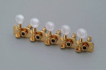 10 String 5x5 Strip Tuners Gold