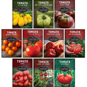 Tomato Seeds 10 Variety Pack - Colorful Full Sun Annual Vegetable
