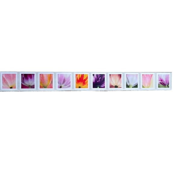10 Tulip Blossoms USPS Forever Postage Stamp US First Class Flower Spring Wedding Holiday Celebrate Announcement Party (10 Stamps)