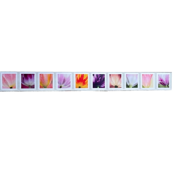10 Tulip Blossoms USPS Forever Postage Stamp US First Class Flower Spring Wedding Holiday Celebrate Announcement Party (10 Stamps)
