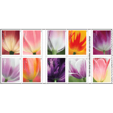 10 Tulip Blossoms USPS Forever Postage Stamp US First Class Flower Spring Wedding Holiday Celebrate Announcement Party (10 Stamps)