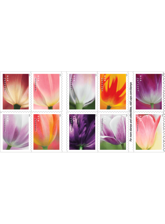 10 Tulip Blossoms USPS Forever Postage Stamp US First Class Flower Spring Wedding Holiday Celebrate Announcement Party (10 Stamps)