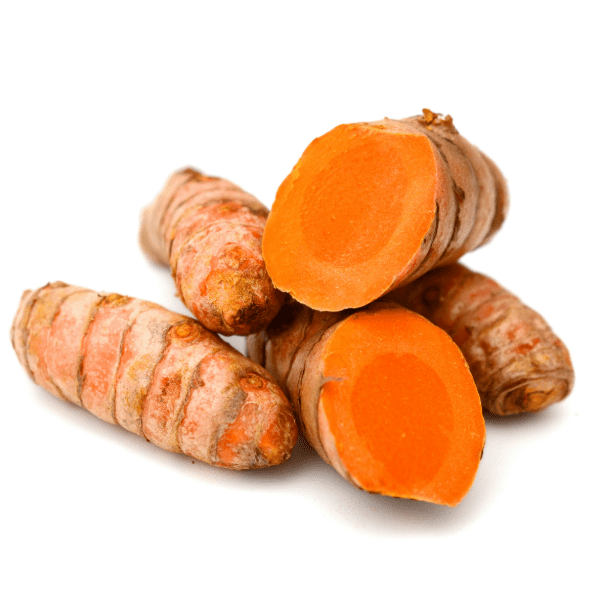 Turmeric Tuber 10 Tumeric Roots Fresh Turmeric Roots, Curcuma Longa Herb Tubers Live ...