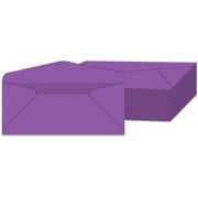 DYNAMICO #10 Violet Color Envelopes | Colored Standard Business Size Mailers | Value Pack of 500 Per Pack | 4 1/8 x 9 1/2