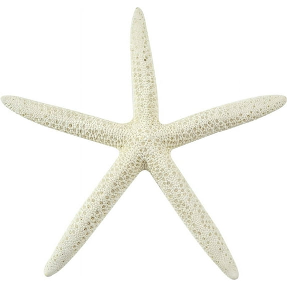 10 White Finger Pencil Starfish Nautical Decor 4-6" (Set of 10)