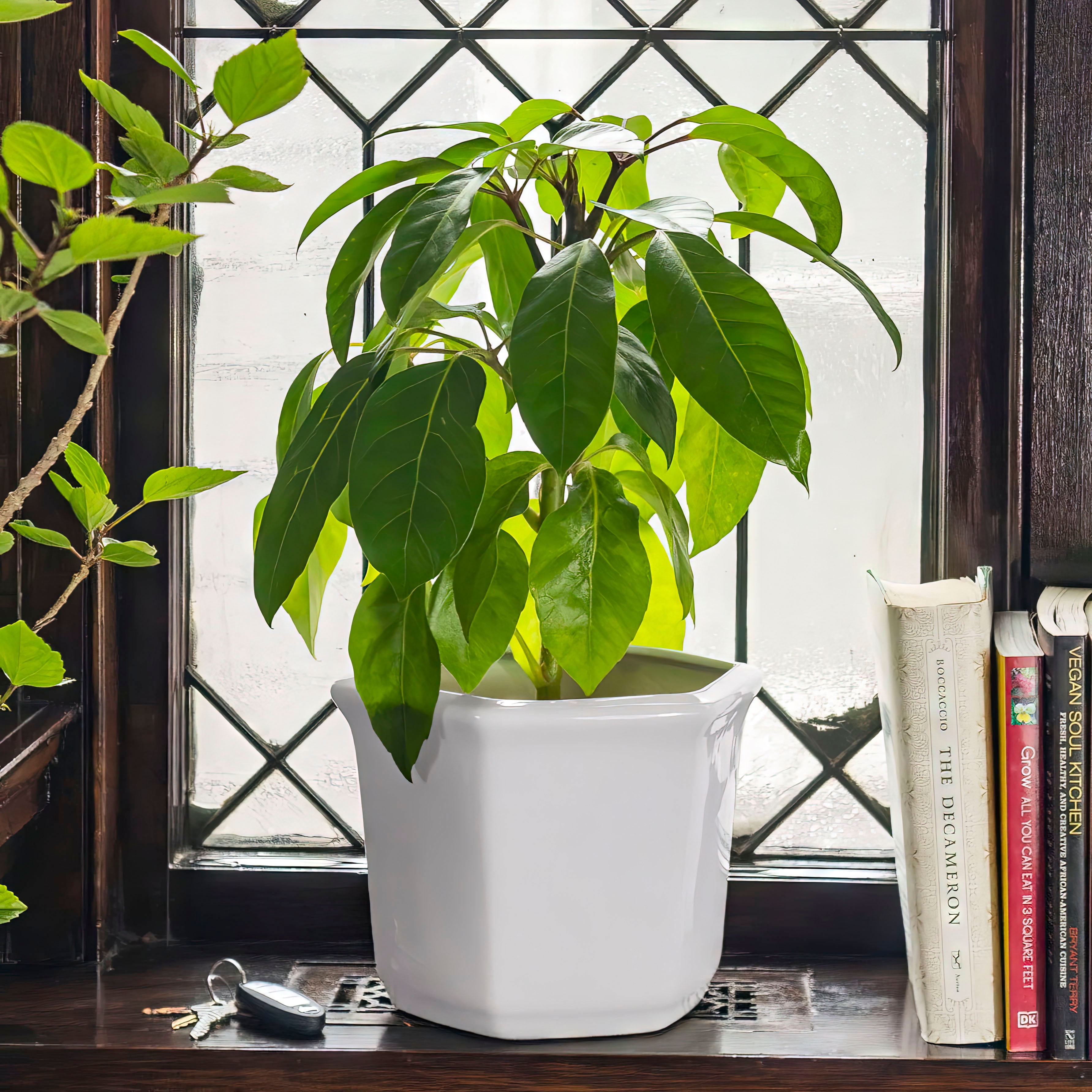 10" White Porcelain Flower Pot