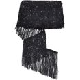 thumbnail image 1 of 10 Yard 10.9 Yards Sequins Chainette Fringe Yarn Thread Tassel Trim 5-7/8 inch Black Tassel Fringe Trim with Silver Sequins for Wedding Applique Clothing Sewing Craft, 1 of 7