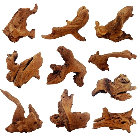 10 count Aquarium Driftwood 2-4", Aquarium Drift for Fish Decoration, Size Mopani Twisted Branches Trunk Decor for Freshwater, Reptile Terrarium