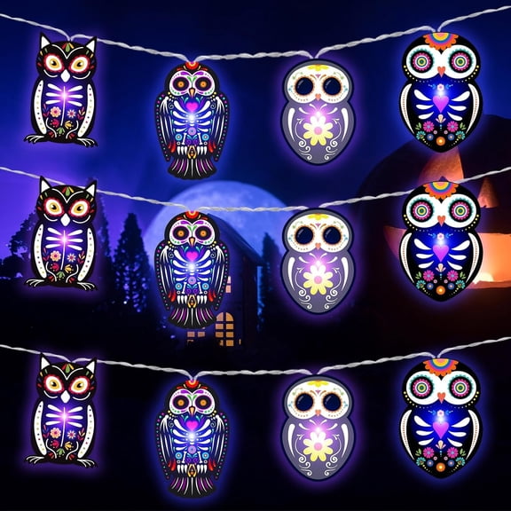 10 ft Halloween Sugar Skull Owl LED String Lights Operated