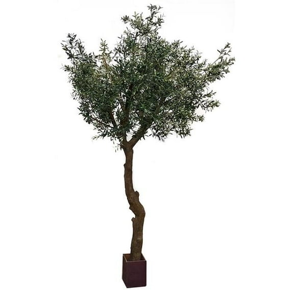 10 ft. Olive Tree PVC Trunk & Wood Pot, Green