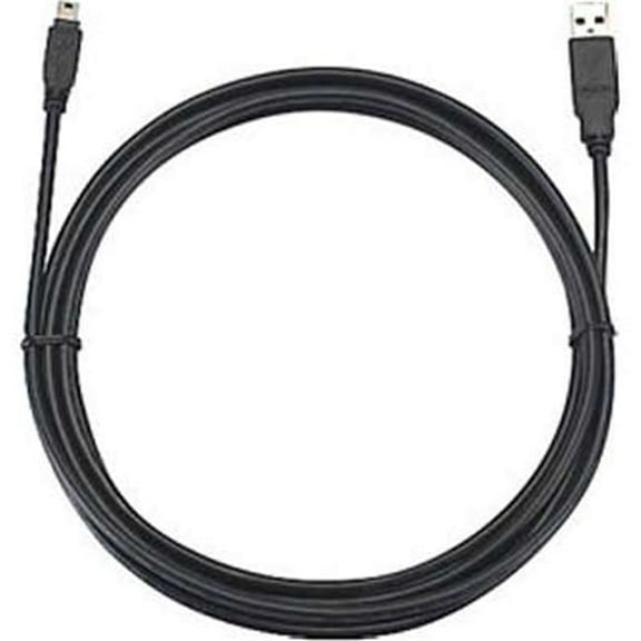 10 ft. RJ4 Cable - PJ3